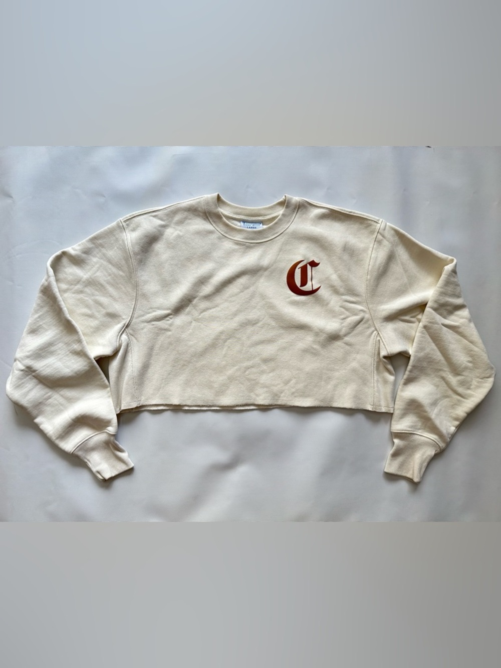 Champion Women’s Fleece Cropped Sweatshirt Size L